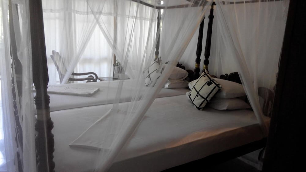 Фото Surf Villa