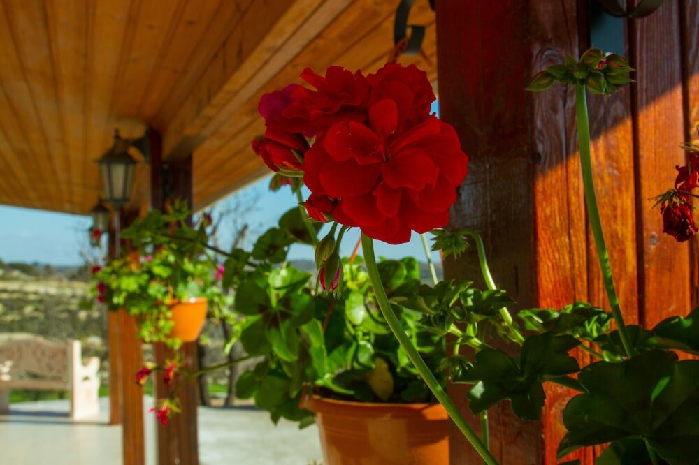 Фото Erigone Cottage - Beautiful Ambiance