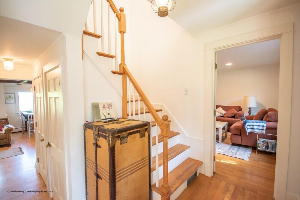 Фото Puffin Rock - New 2022!