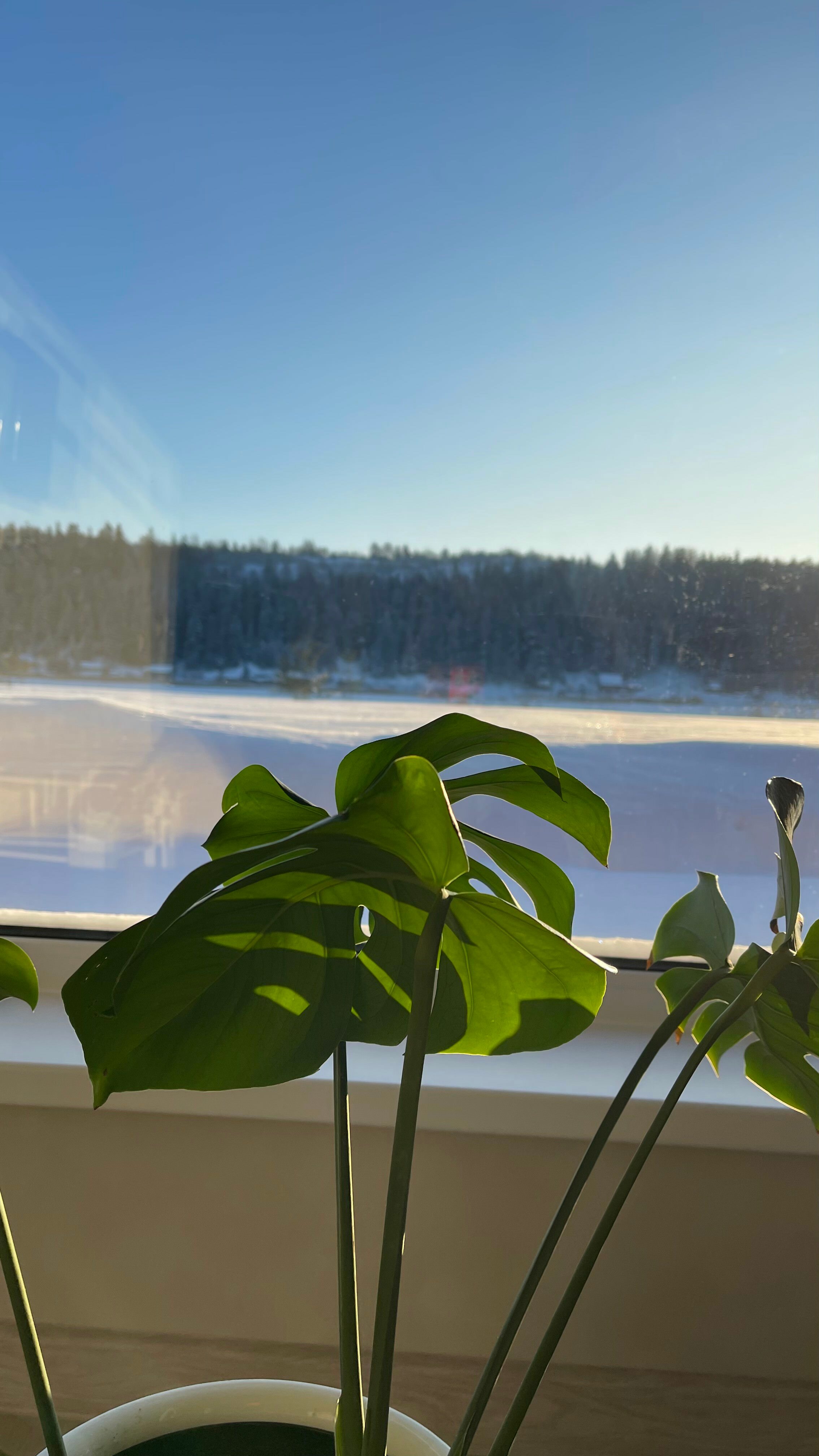 Фото Ворссунсалми