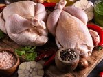 Orda kus (Baqtyoraza Beısekbaev kóshesi, 29), egg and poultry meat
