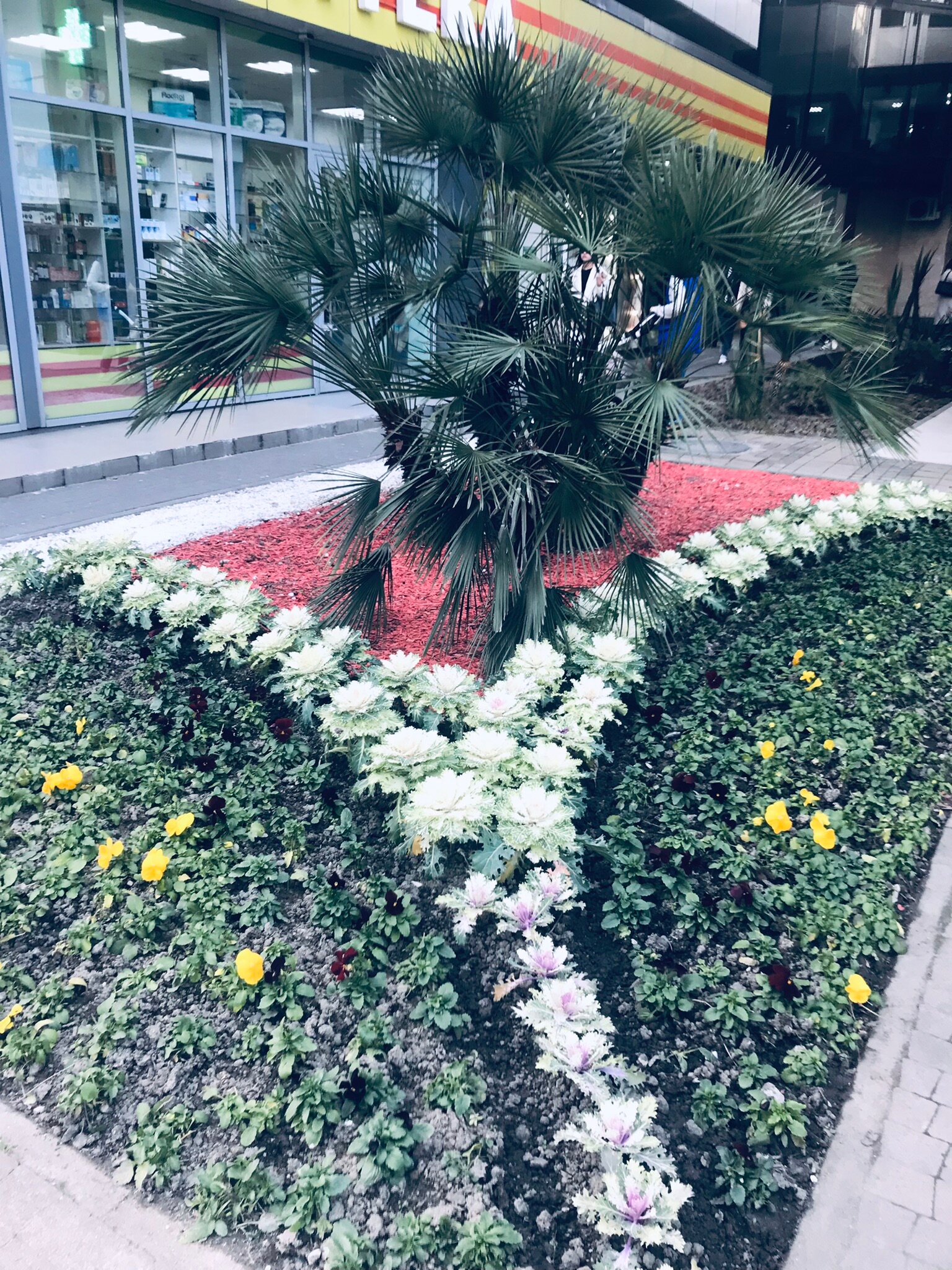 Фото Констиаль