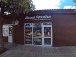 Белая Орхидея (Krasnoarmeyskaya ulitsa, 13А/1), perfume and cosmetics shop