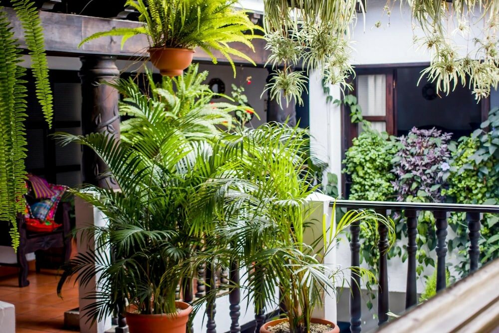 Фото Hotel Villa Real Antigua