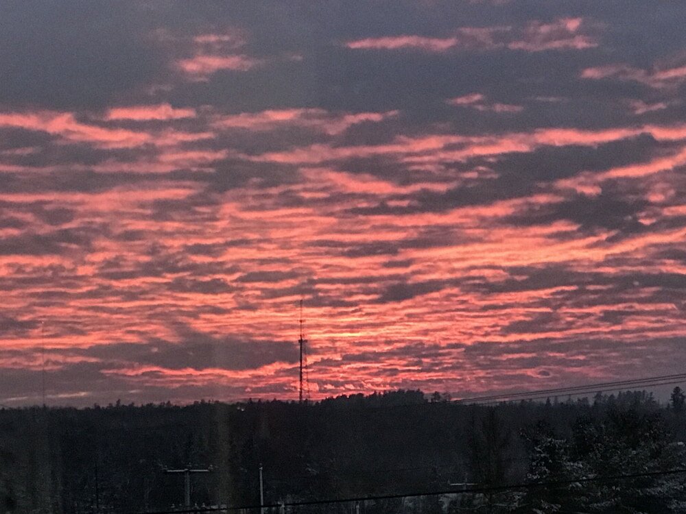 Фото White Birches Motel