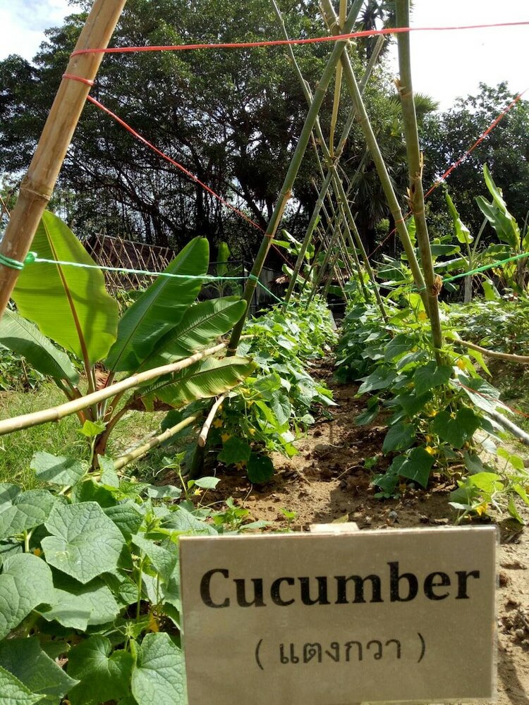 Фото Naina Resort & SPA