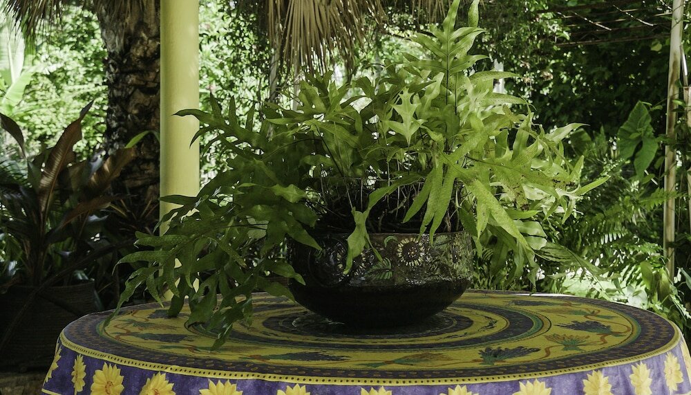 Фото Le Jardin Hotel Restaurant