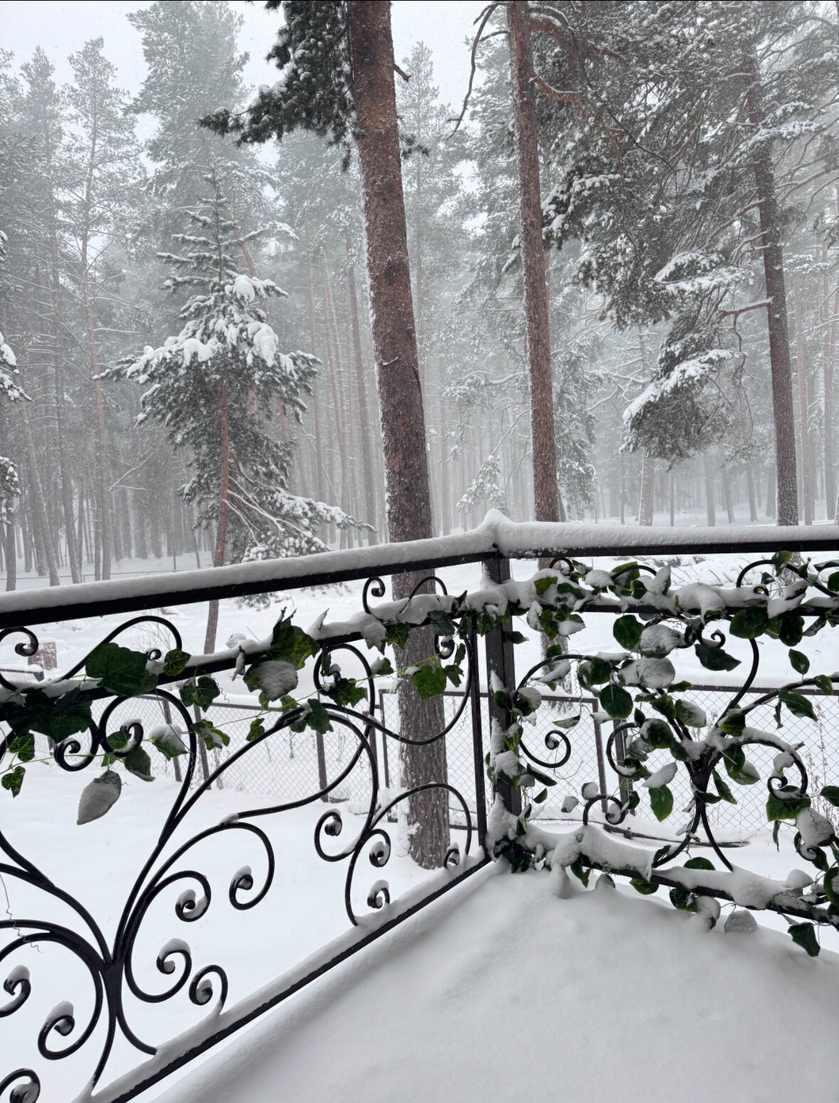 Фото Горная Сказка