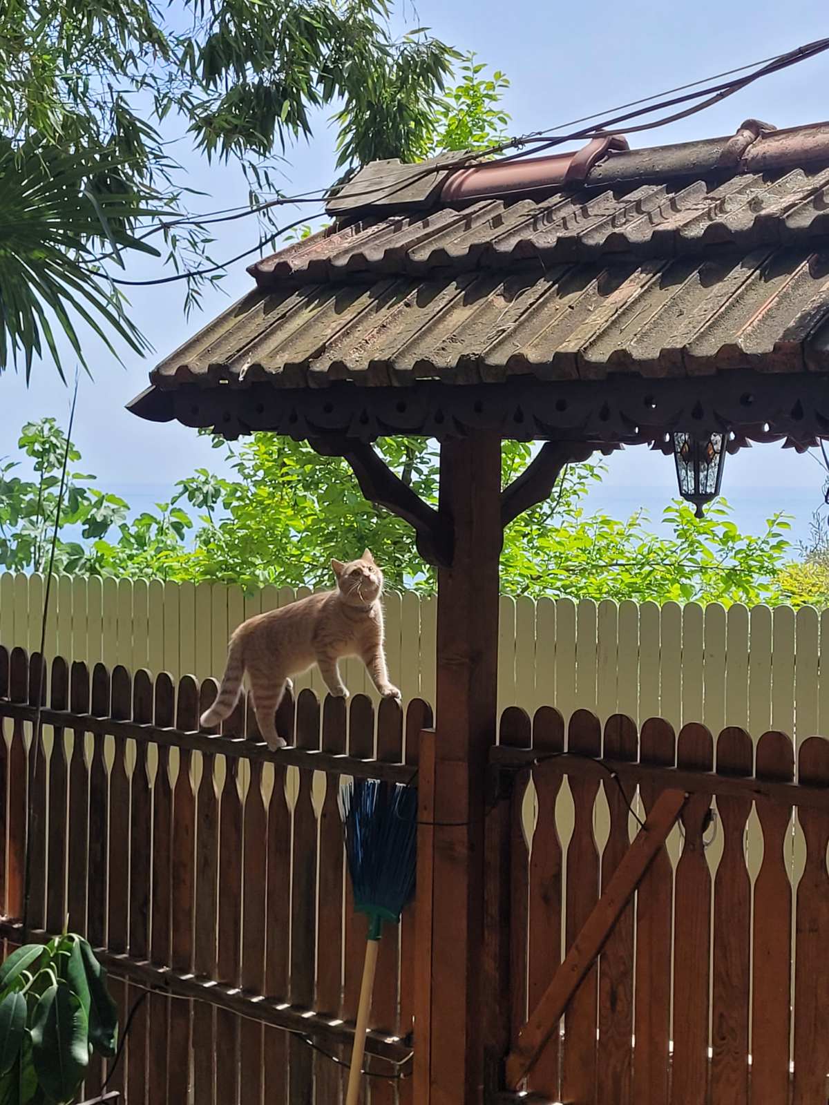 Фото Лазурный залив