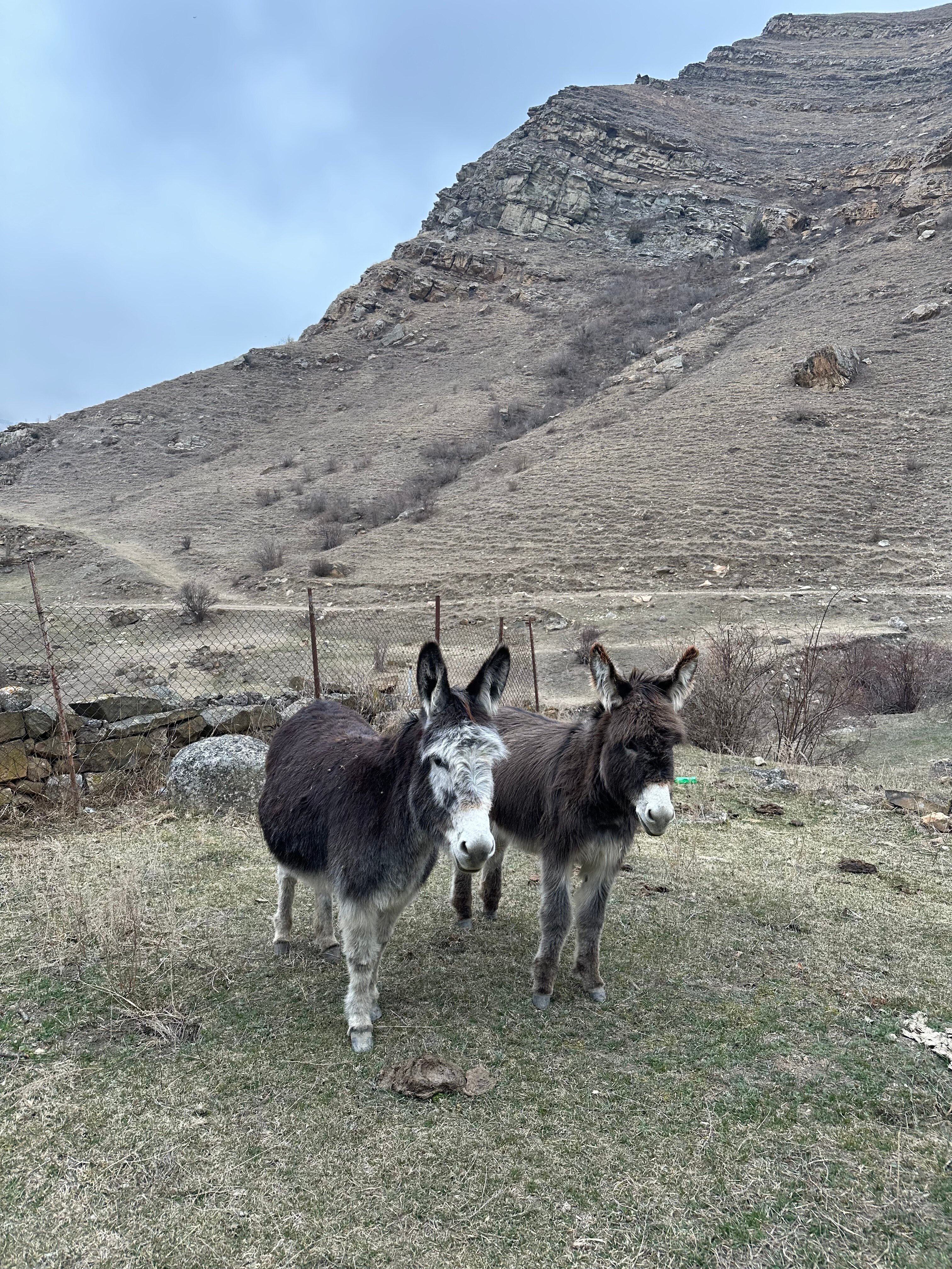 Фото Внедорожный