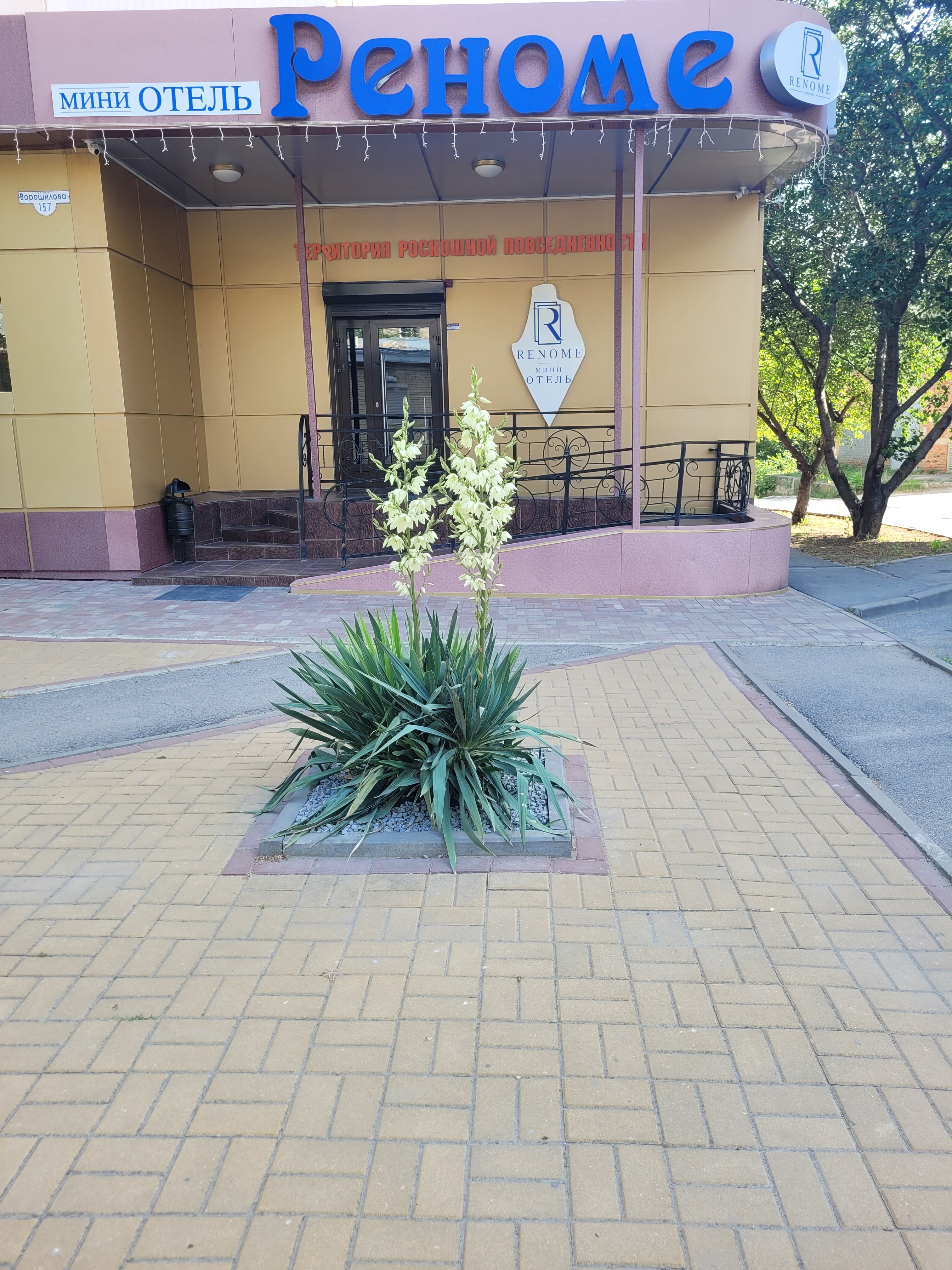Фото Реноме