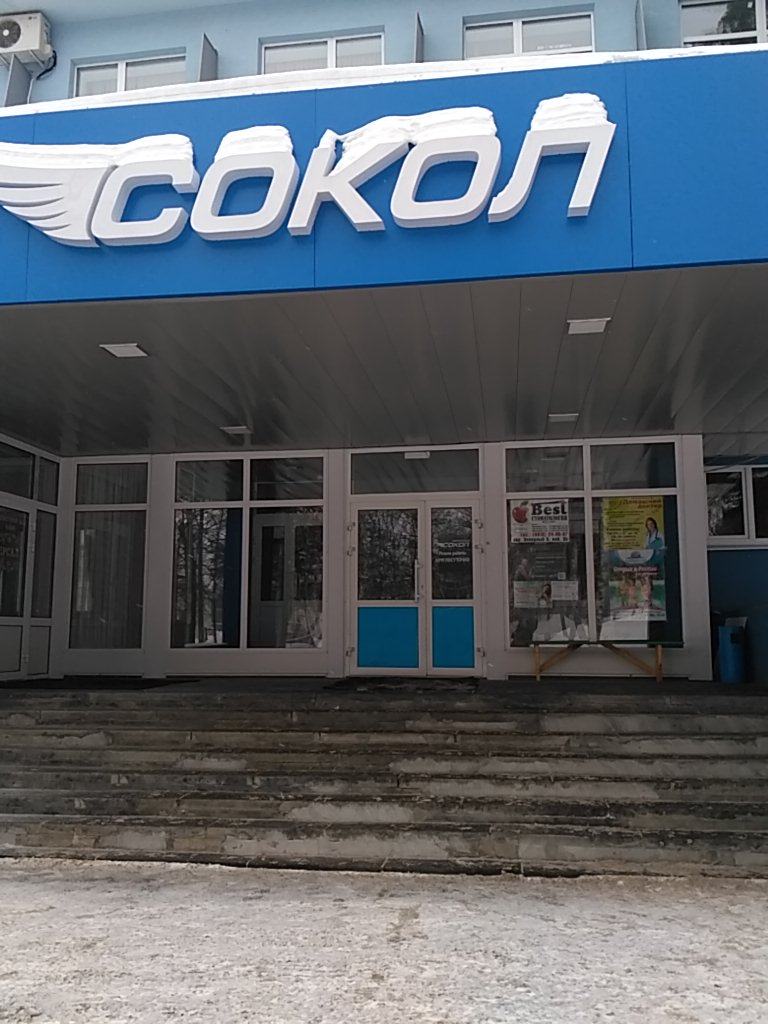Фото Сокол