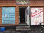 Magazin semyan (ulitsa Pravdy, 6) ، متجر البذور