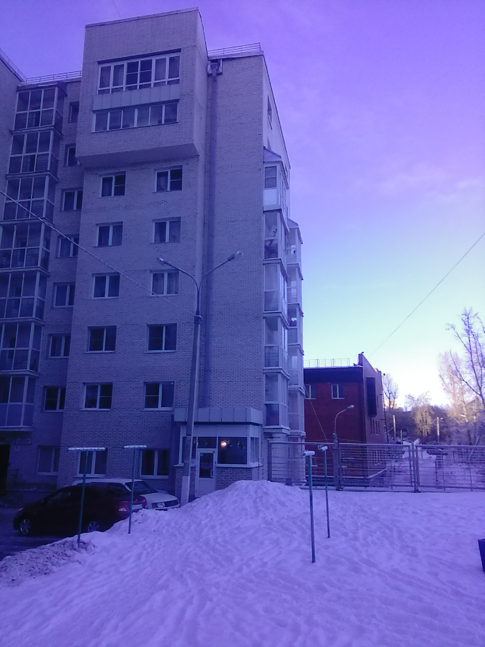 Фото Брусника