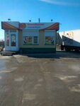 Новосибирская птицефабрика (Школьная ул., 38А, Искитим), магазин мяса, колбас в Искитиме