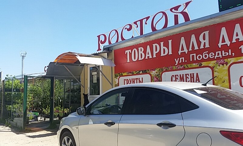 Магазин Семян Тольятти Адреса