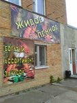 Магазин пива (3-y Krasnopolyanskiy pereulok, 6А), cervecería
