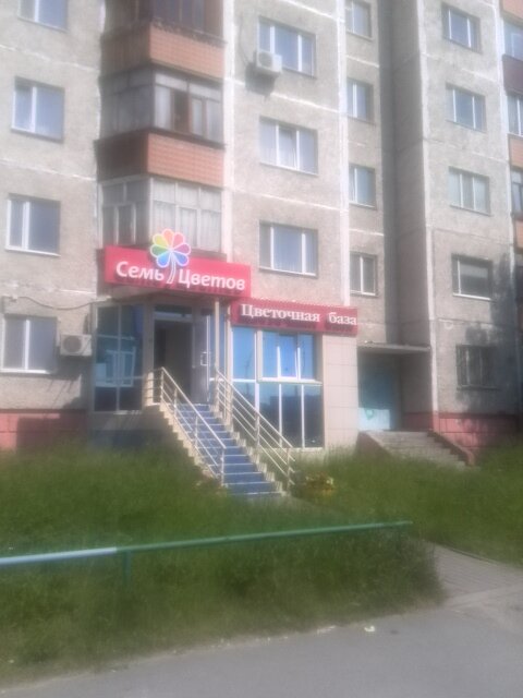 Семь Цветов Интернет Магазин Сургут