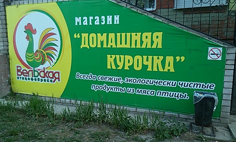 Egg and poultry meat Yaytso i myaso ptitsy Domashnyaya kurochka № 114, Vologda, photo
