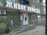 Magazin Zhivoye pivo (Liteynaya ulitsa, 70) ، متجر بيع البيرة