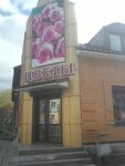 Salon tsvetov (Oktyabrskaya Street, 18А), flower shop