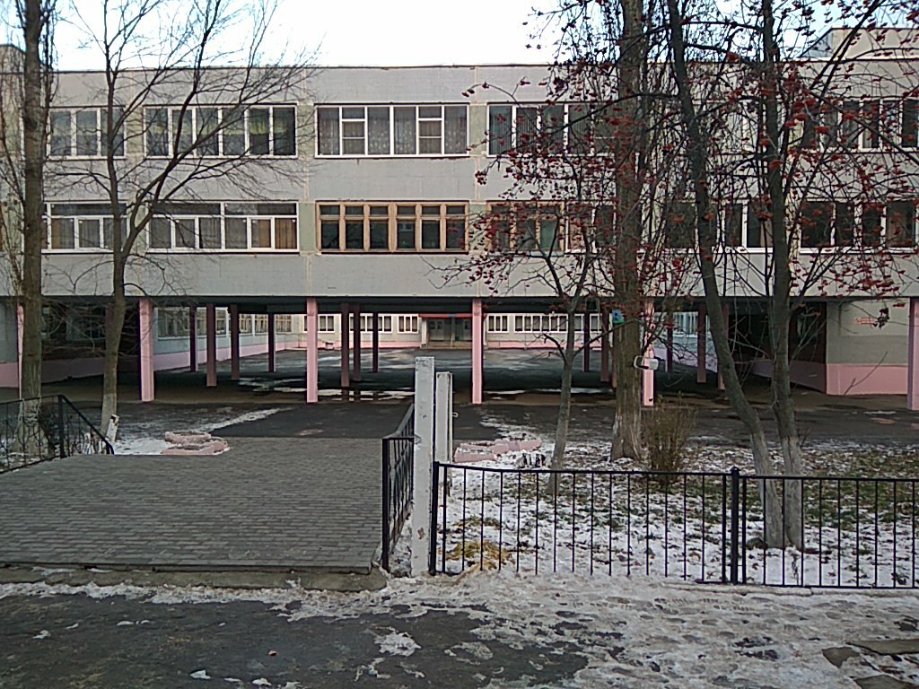 Гимназия no 25 ул чернышевского 7 фото