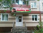 Internet - zoomagazin (50 Let Oktyabrya Avenue, 11), pet shop