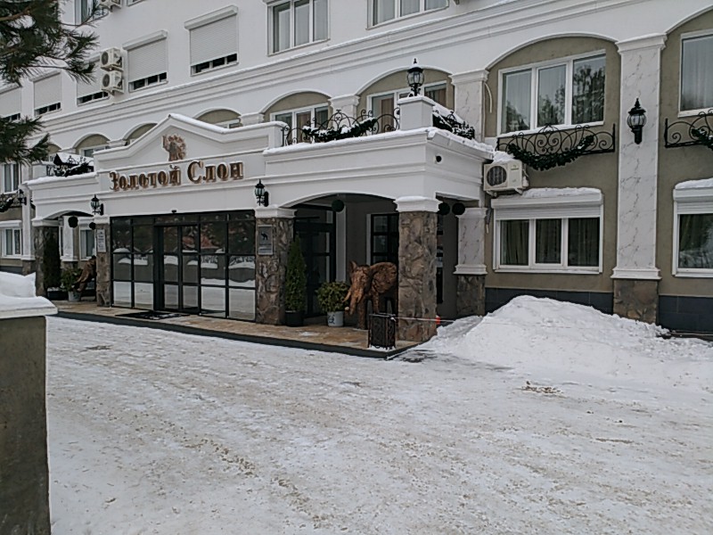 Фото Золотой слон