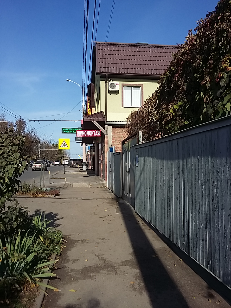 Фото Максимус