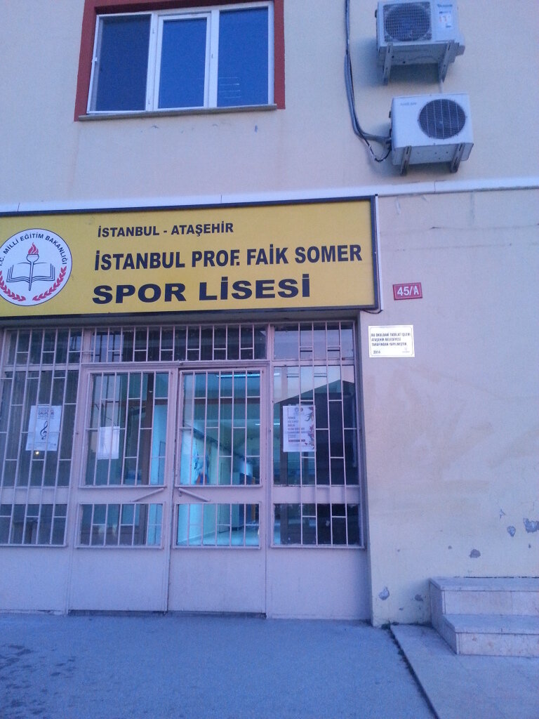 istanbul prof faik somer spor lisesi lise kucukbakkalkoy mah nuray sok no 2 atasehir istanbul turkiye yandex haritalar