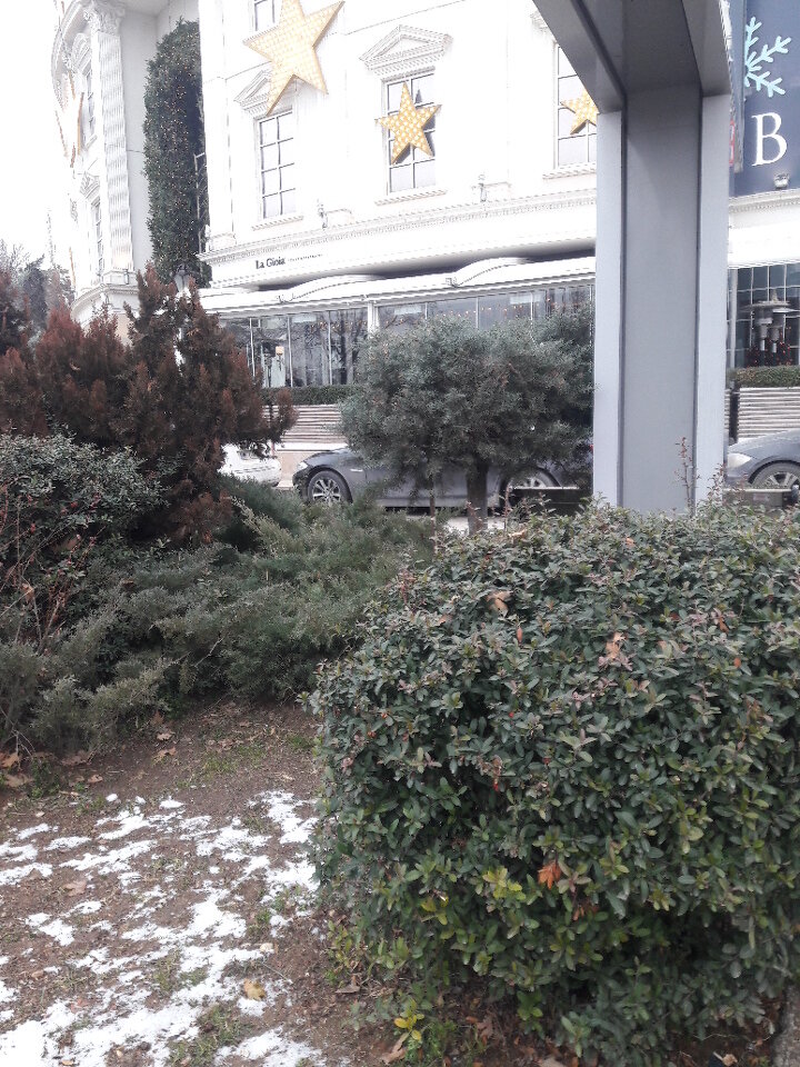 Restaurant La Gioia, Ankara, photo