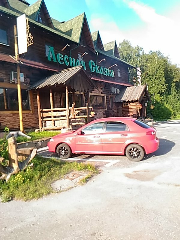 Кафе лесная сказка