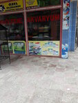 Kids Organization (Ankara Province, Sincan District, Plevne Mah., Seyhan Sok., 31), organización de eventos