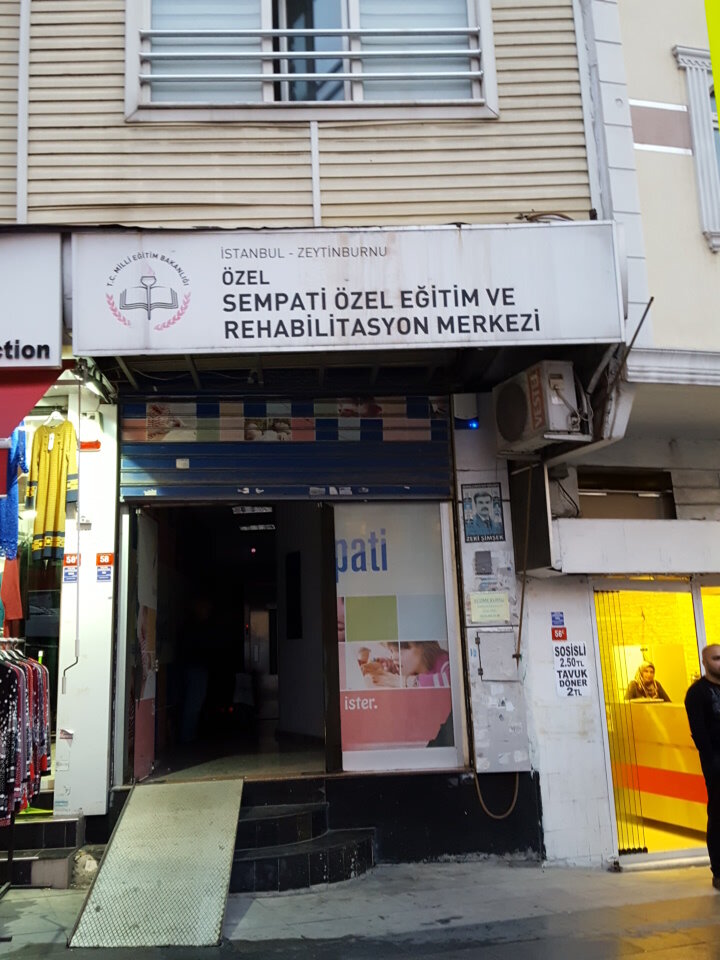 Social rehabilitation centre Private Sympathy Special Education and Rehabilitation Center, Istanbul, photo