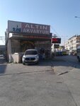 Altin Akvaryum (İzmir, Bornova, Kamil Tunca Cad., 260A), aquariums