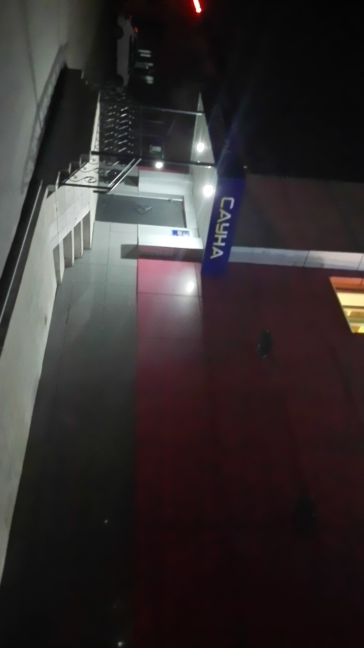 Фото Селена