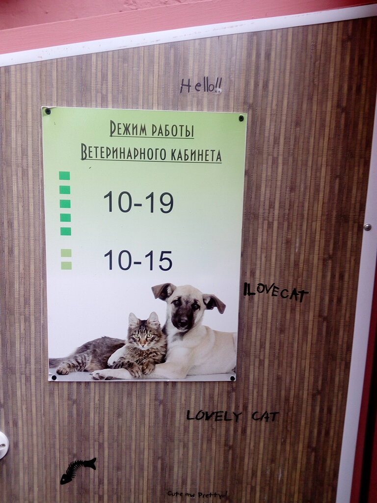 Ветеринарная клиника Вет, Череповец, фото