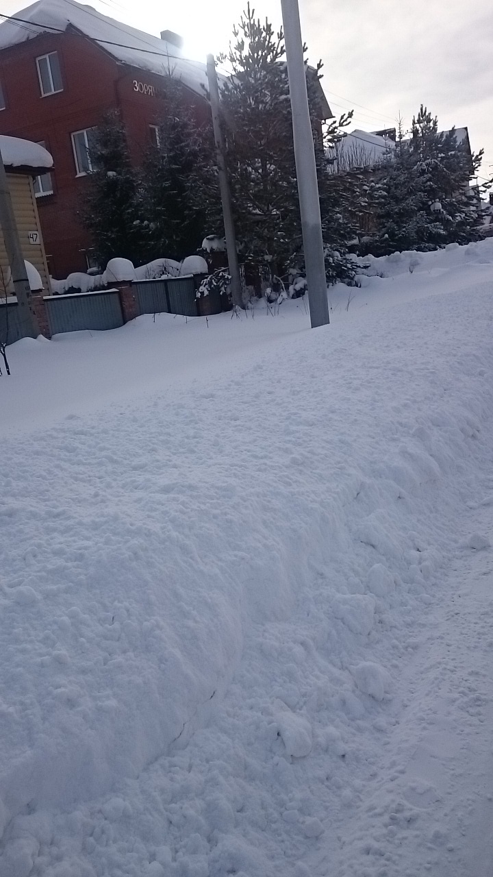 Фото Зорянка