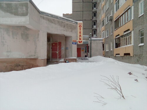 Любисток  фото 3