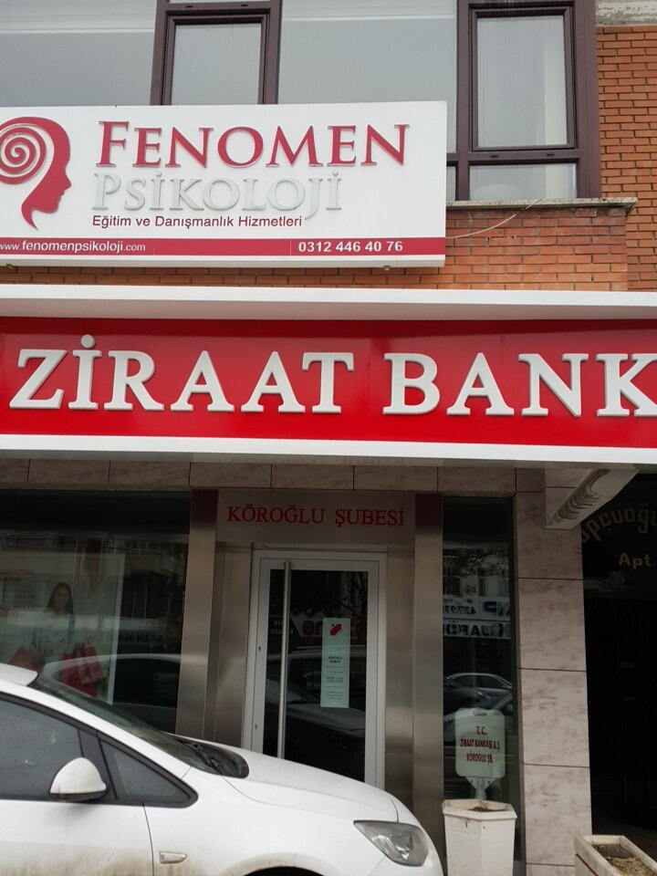 Psychological service Fenomen Psikolojik Danismanlik ve Egitim Merkezi, Ankara, photo