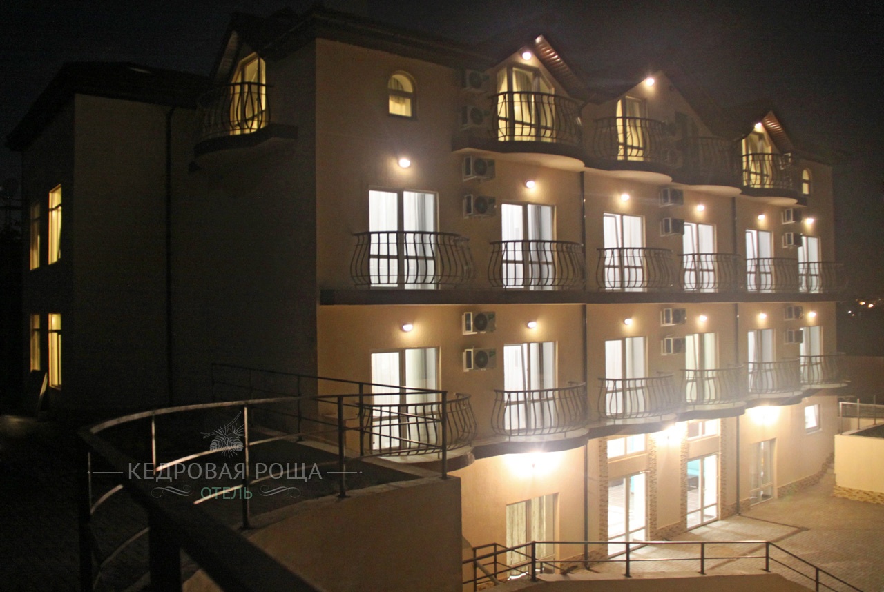 Фото Кедровая роща