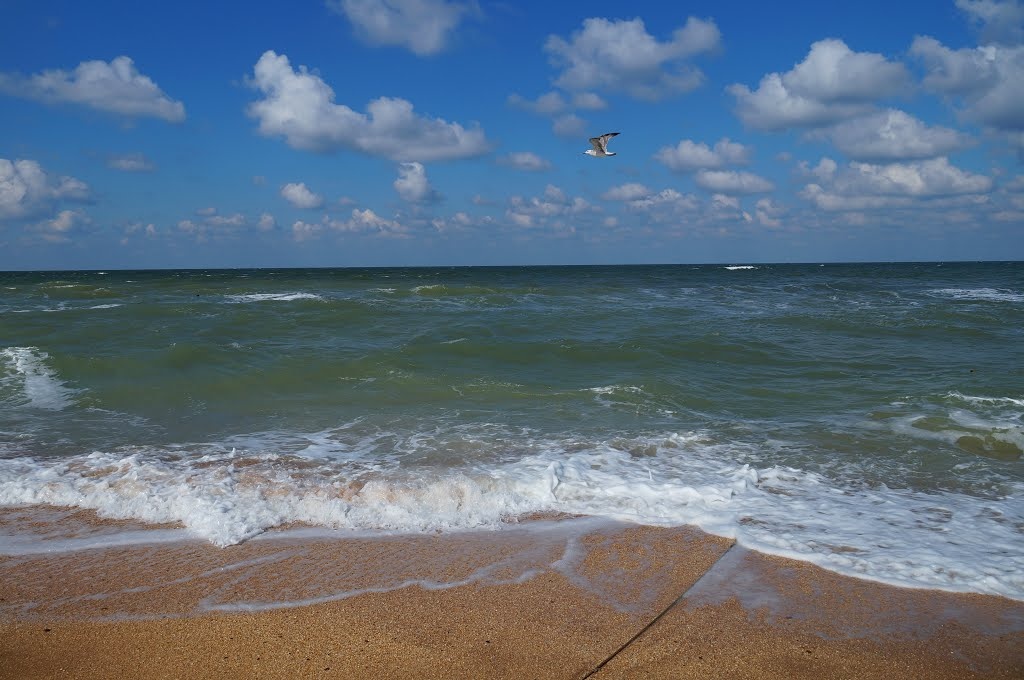 Фото Villa Grape