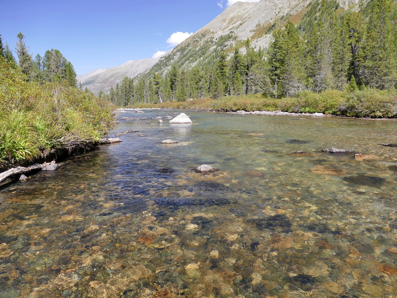 Фото Приют Романтиков