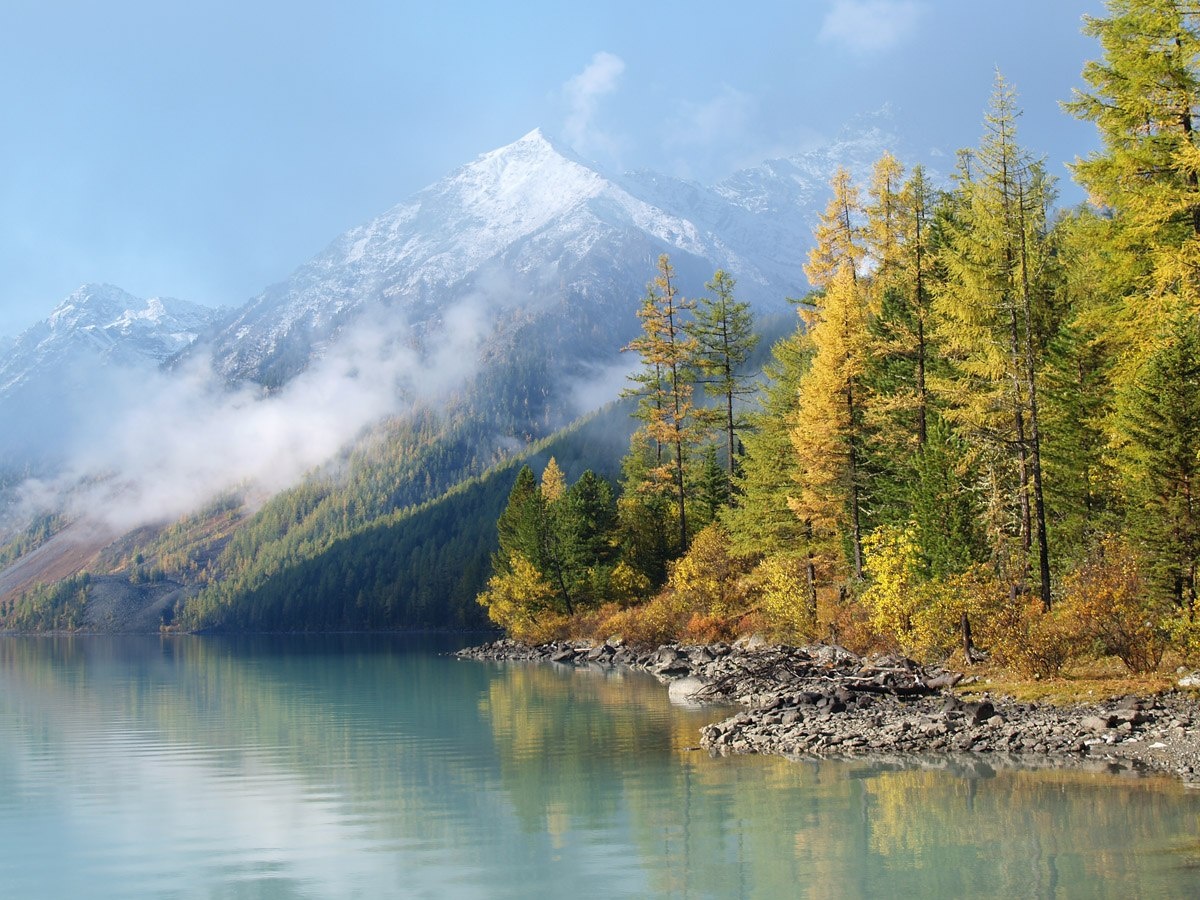 Фото Приют Романтиков