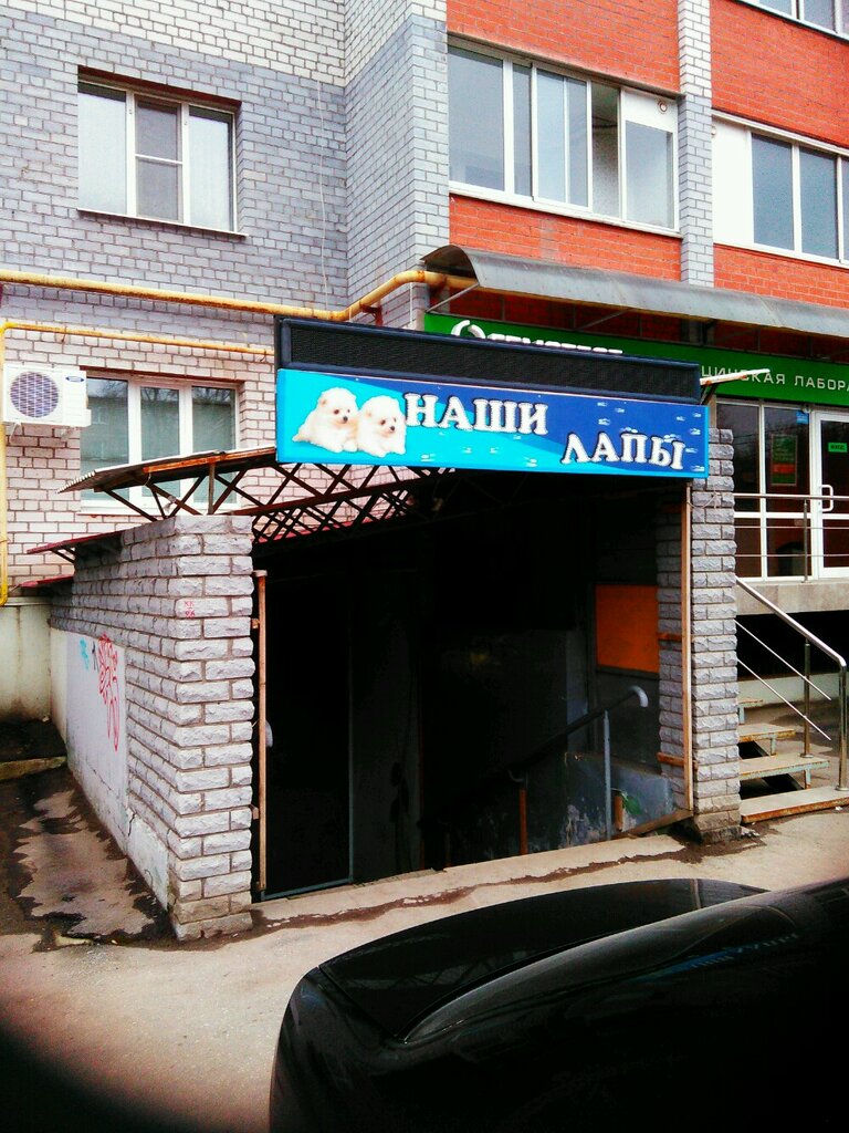 Наши Лапы Интернет Магазин Рязань
