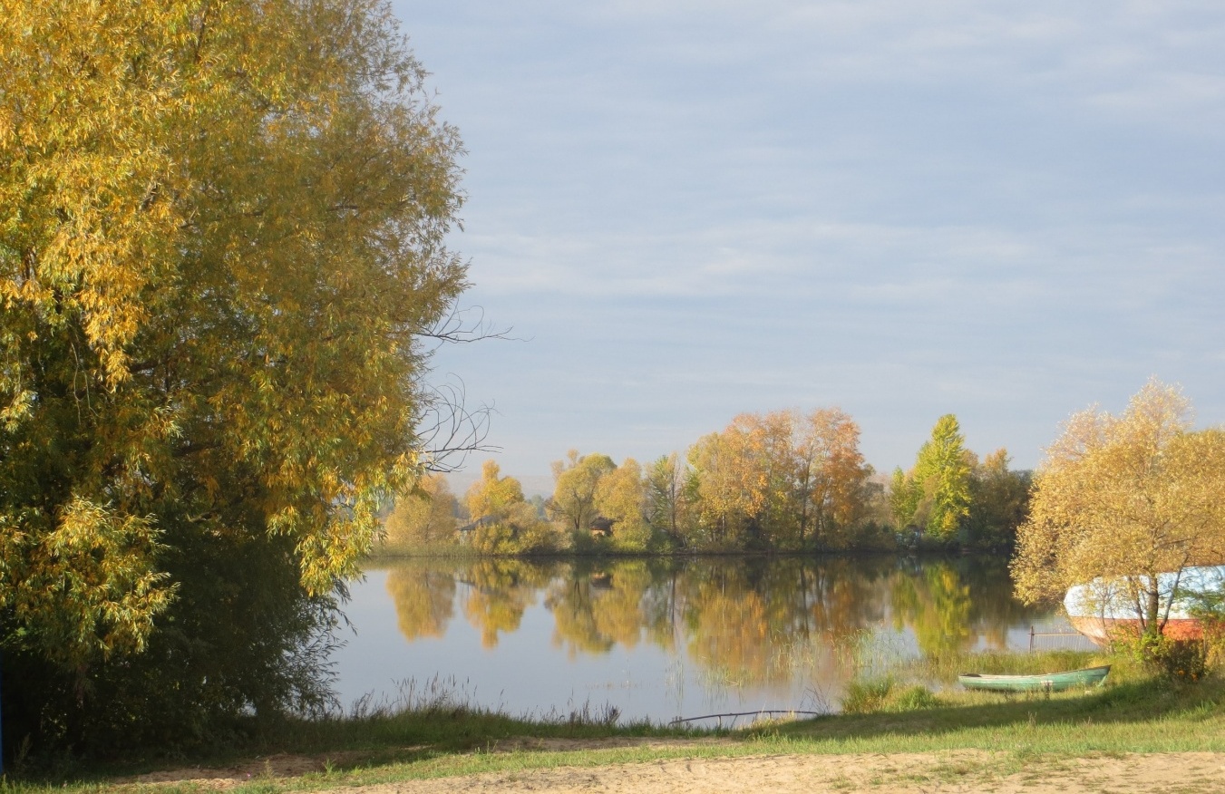 Фото Займище