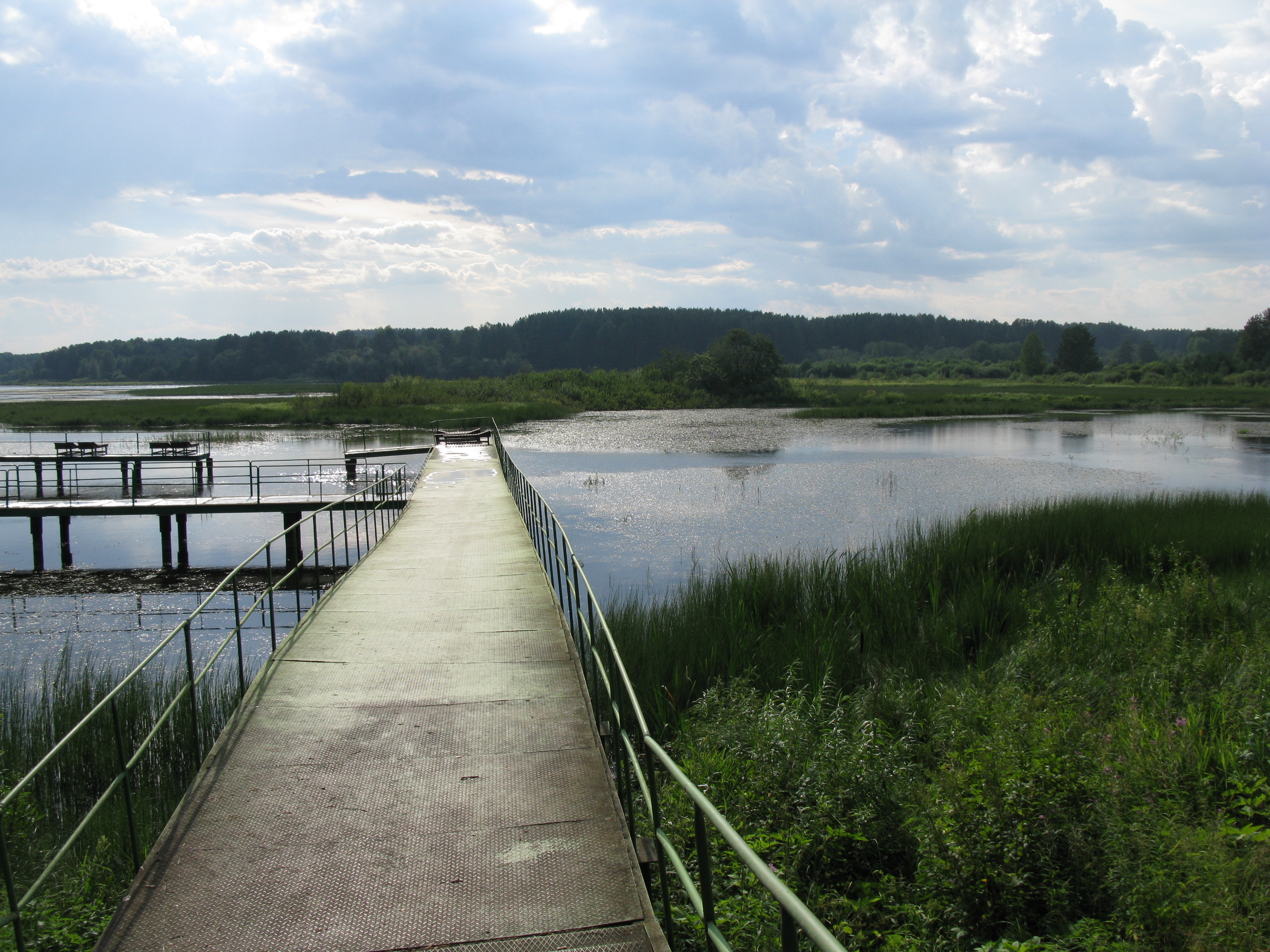 Фото Светофор