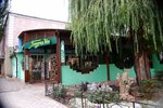 Плакучая ива (ул. Ленина, 45, Луганск), кафе в Луганске