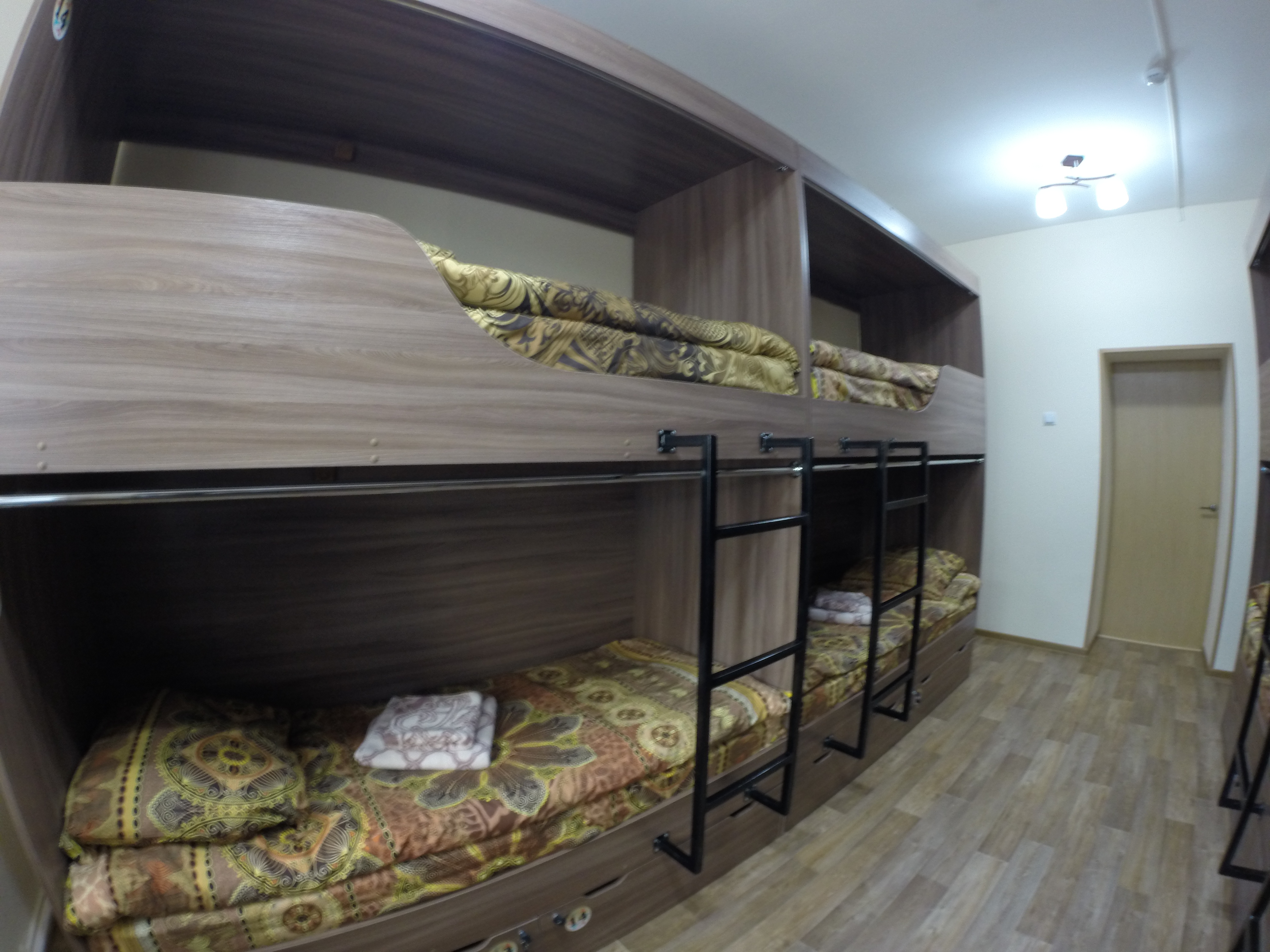 Фото Дружба