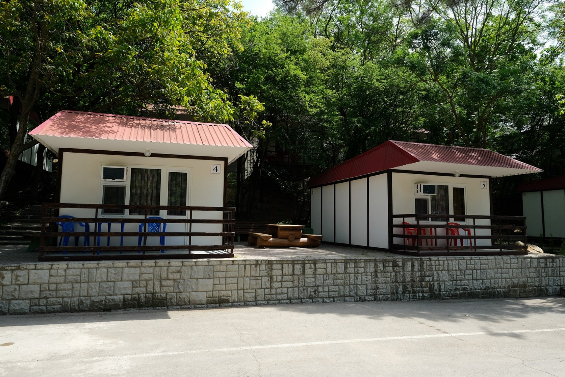 Фото Лесная сказка